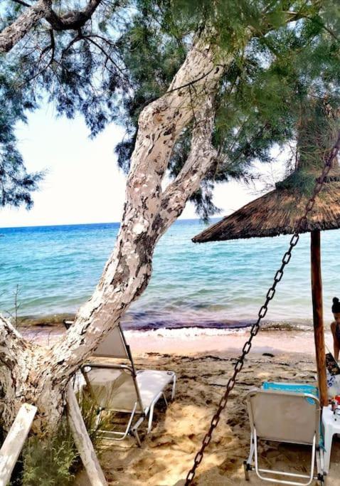 Apartment With 3 Rooms Just 1 Min From The Beach And Free Public Parking Peraia  Ngoại thất bức ảnh